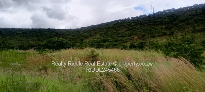 1.3ha Norton Hillside , Accessible