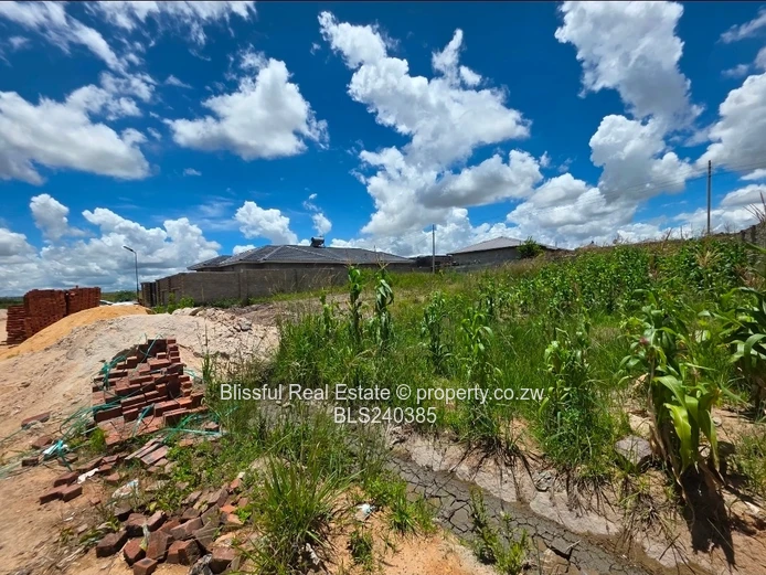 Adelaide Park stand for sale