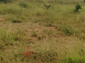 Farm & Agricultural Land