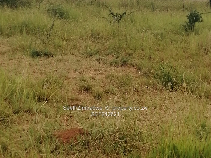 Rare Gem in Kensington, On Prime 8094 square meters virgin land in Bulawayo with Enormous Potential (Sole Mandate)