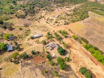 Farm & Agricultural Land