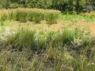 Farm & Agricultural Land