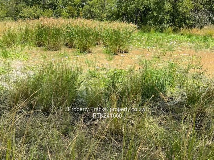 Agro-residential plot! (Sole Mandate)