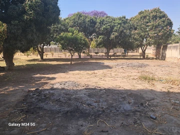 Stands & Residential Land