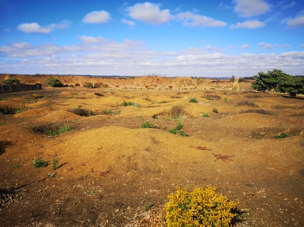 Stands & Residential Land