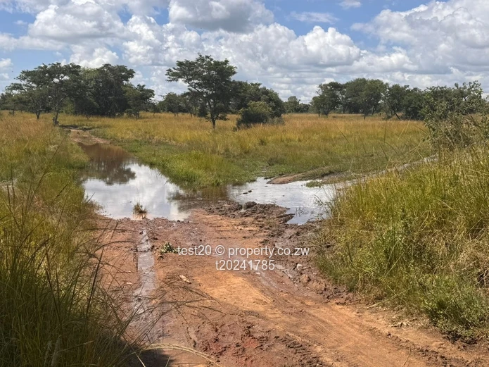 Doornfontein 1ha Agro Plot  — Gravel Access, Arable Soil & Grazing