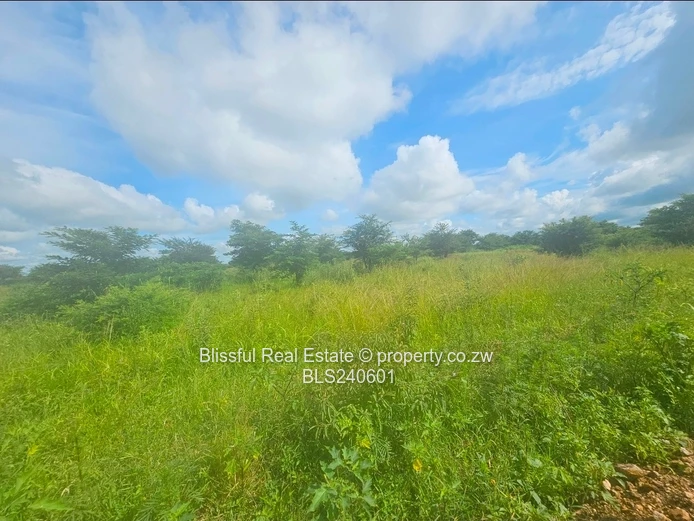 Stands for sale in Doornfontein 