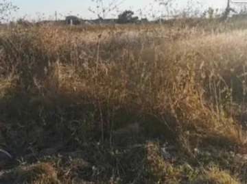 Commercial & Industrial Land