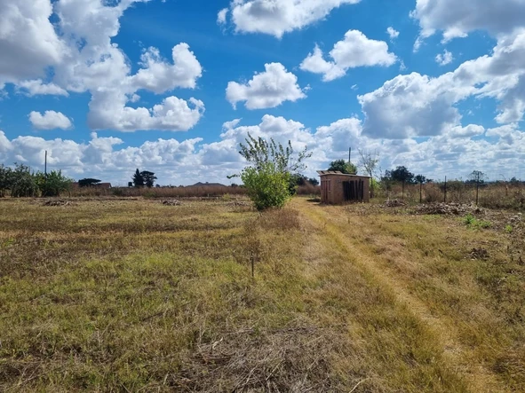 Stands & Residential Land
