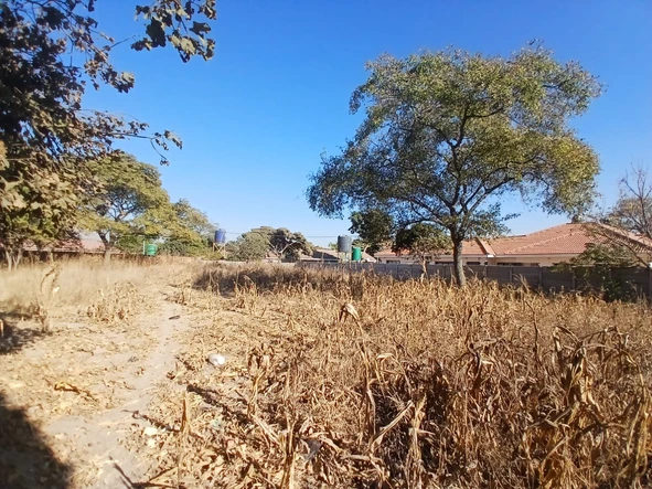 Stands & Residential Land