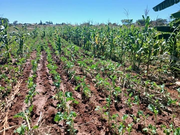 1.6 hectares plot for sale in Gweru 