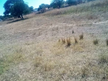 Farm & Agricultural Land