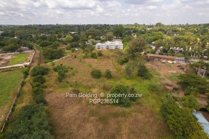 An Exceptional Opportunity in Mt Pleasant along the Chase