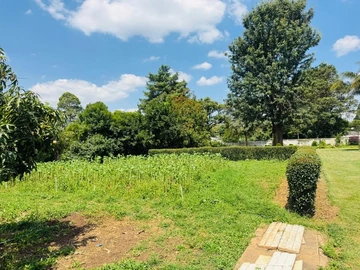 Stands & Residential Land