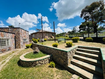 Farm & Agricultural Land