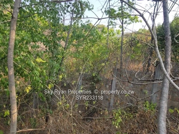 Glen Lorne  Stand For Sale