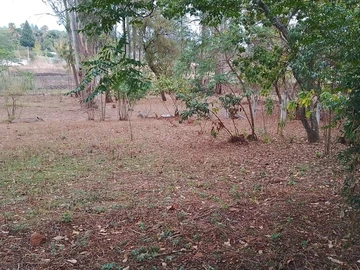 4 Bedroom Townhouse Complex