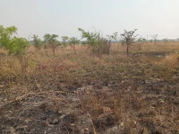 Farm & Agricultural Land