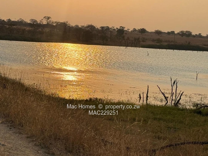 **400 Hectares Farm for SALE in MARONDERA