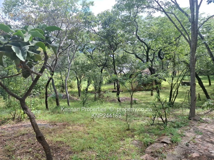 Lifestyle In Close Proximity To Nature!