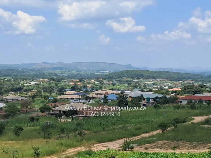 Crowhill Palm Village Stand For Sale