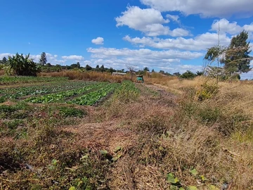 Farm & Agricultural Land