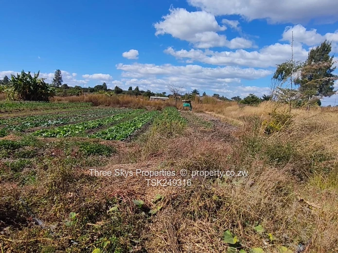 4 Hectares For Sale 