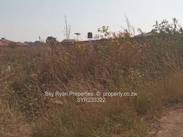 Pomona Stand For Sale