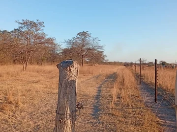 Farm & Agricultural Land