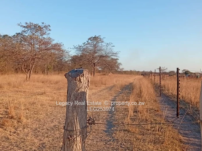 50.6ha Zvimba Farm — Fenced Grazing, Arable Land & Dam (Sole Mandate)