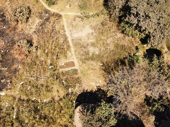 Commercial & Industrial Land