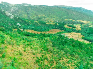 Commercial & Industrial Land