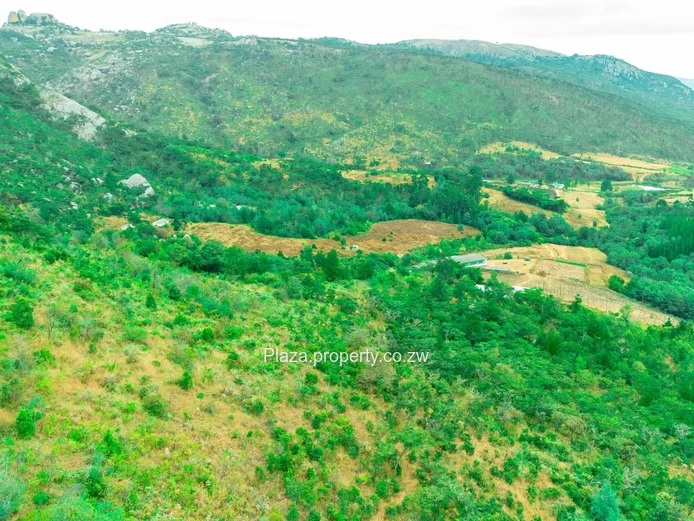 8,188 m² Juliasdale Stand — Secluded Hillside Views
