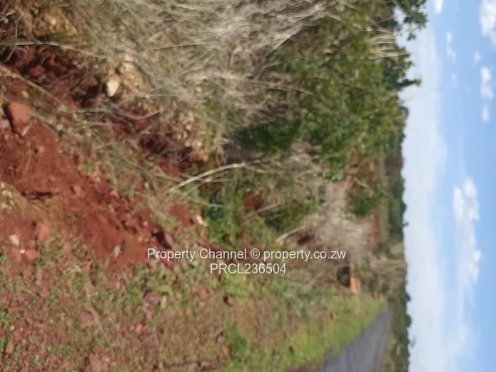 Pomona Serviced Residential & Commercial Stands in Wild Geese, Buckland Gated Community