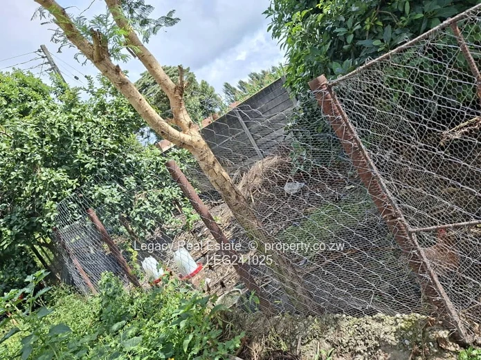 Refined Family Living in the Heart of Goodhope