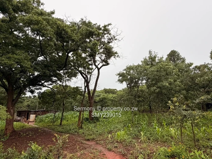 Residential stand for sale