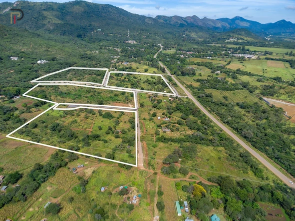 Stands & Residential Land