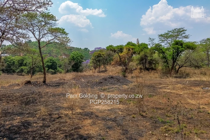 Two And Half Hectares of Land on Highland Glen  (Sole Mandate)