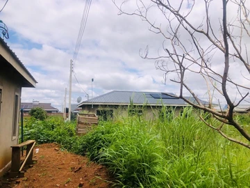 Stands & Residential Land