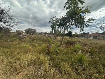 Stands & Residential Land