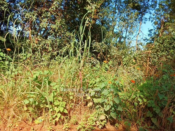 Agro Plot For Sale - Glen Forest