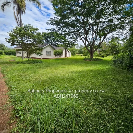 Compact Cosy Rental House Readily Available (Sole Mandate)