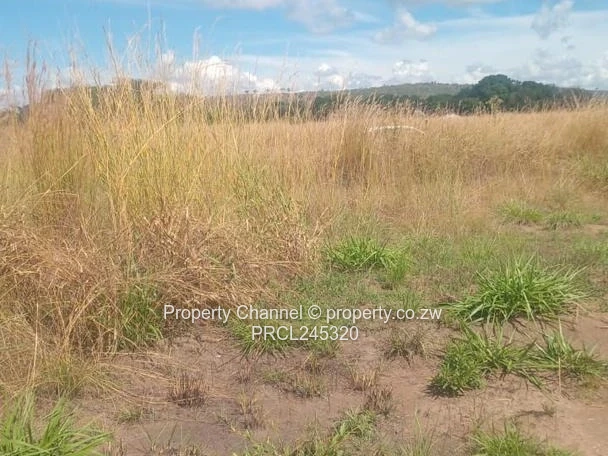 Stand for Sale in Norton Mwashuma Park