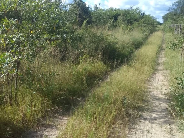 Farm & Agricultural Land