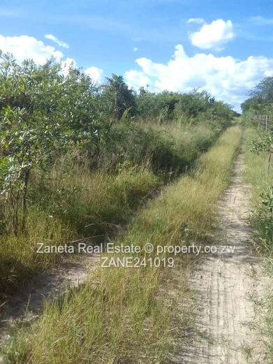 Beatrice Plot for sale