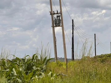 Farm & Agricultural Land