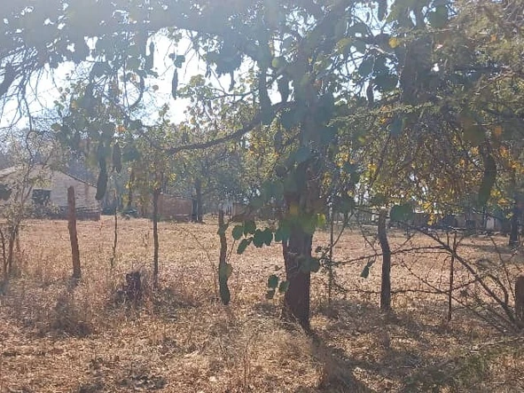 Farm & Agricultural Land