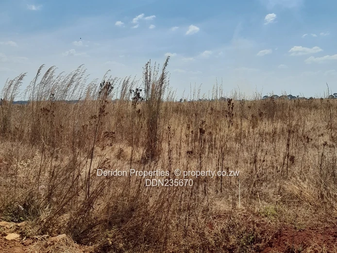 Build your dream home  (Sole Mandate)