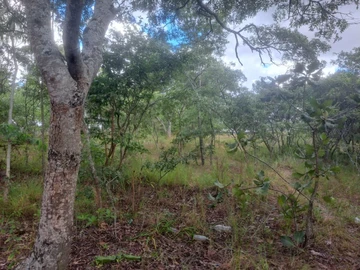 Commercial & Industrial Land