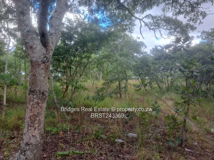 Prime Commercial Opportunity: Stand for sale near Mutangadura Turn-Off  (Sole Mandate)